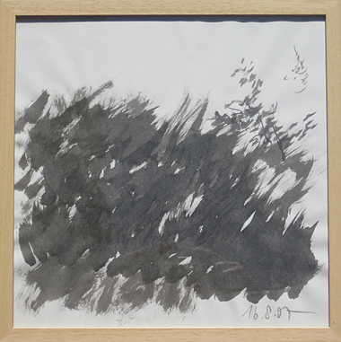 gras-16-08-07