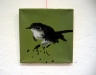 f-vogelbild-grun-080309
