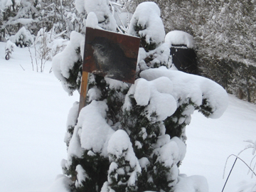 eineriimschnee